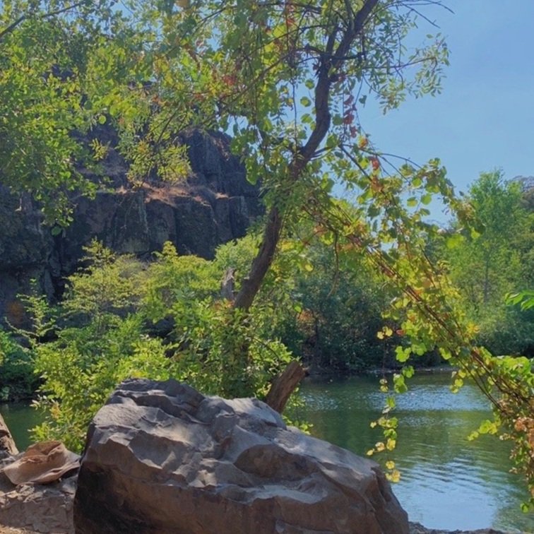 Salmon Hole